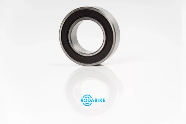 173010-2RS/RBS = 3903-2RS